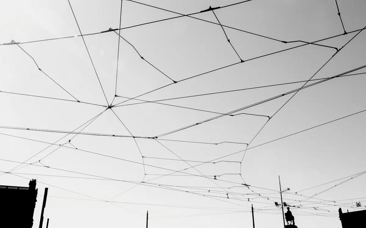 Business growth strategy and digital solutions