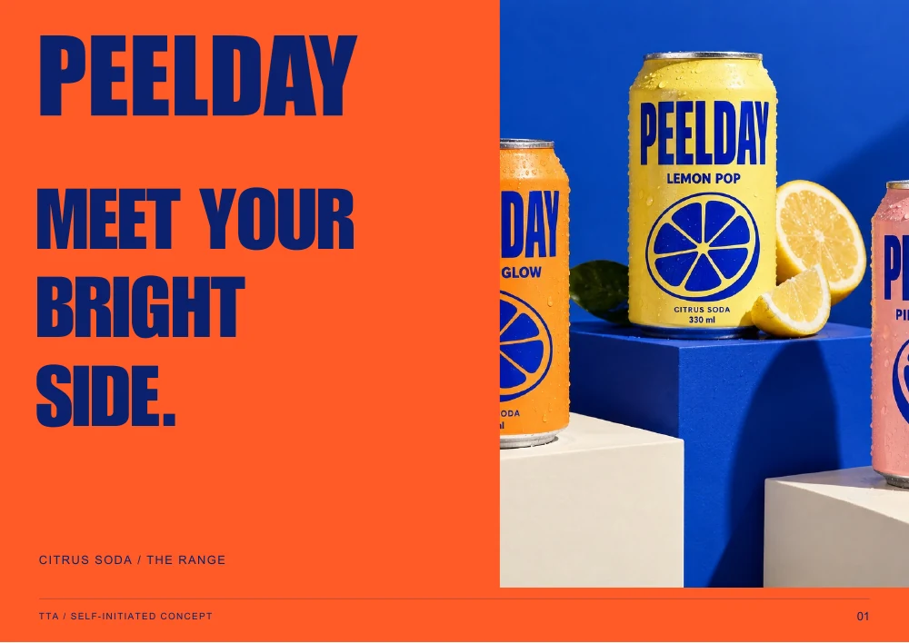 PEELDAY brochure cover